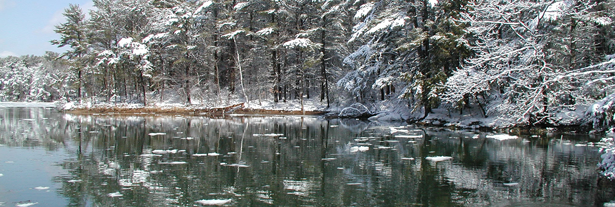 winter on the Lamprey River, photo by Rachel Stevens 